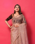 PASTEL BROWN ORGANZA SILK SAREE WITH RESHAM HEARTS