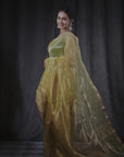 yellow tissue silk saree in gold zari