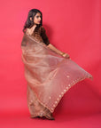 PASTEL BROWN ORGANZA SILK SAREE WITH RESHAM HEARTS