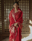 red saree - ahilya maheshwari saree